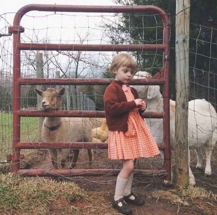 6686体育中级作者Ursula