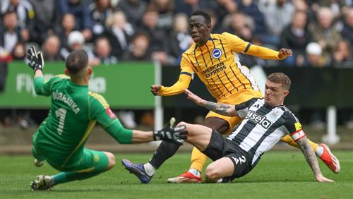 นิวคาสเซิ่ล ยูไนเต็ด vs ไบรท์ตัน